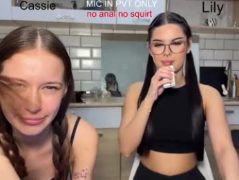 x_kai webcam model stream image