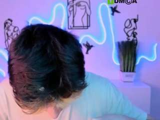 mister-vice webcam model stream image