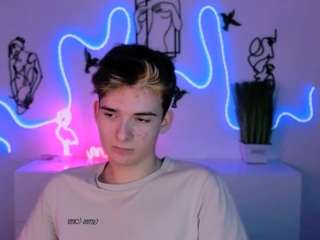 mister-vice webcam model stream image