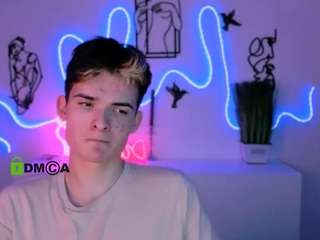 mister-vice webcam model stream image