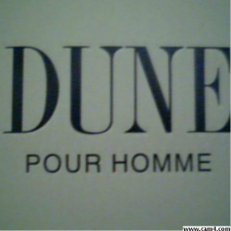 dunebear webcam model stream image