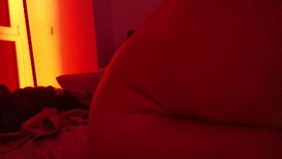 Donostipar webcam model stream image