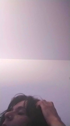 Donostipar webcam model stream image