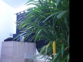 Diego Gil webcam model stream image