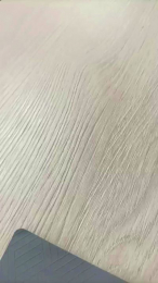 sendyhais webcam model stream image