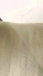 peelover400 webcam model stream image