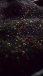 Fresitaricaa webcam model stream image