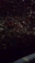 Fresitaricaa webcam model stream image