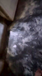 Papiyoungpig webcam model stream image