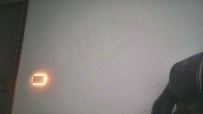 sfuga webcam model stream image