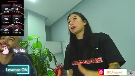 2_fire webcam model stream image