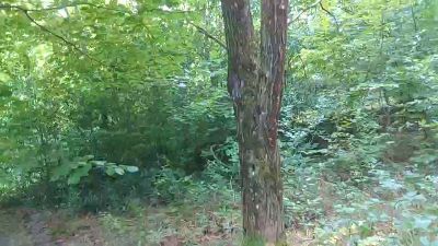 bibibipopopopo webcam model stream image