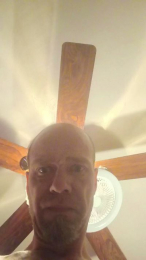 C_money1981 webcam model stream image