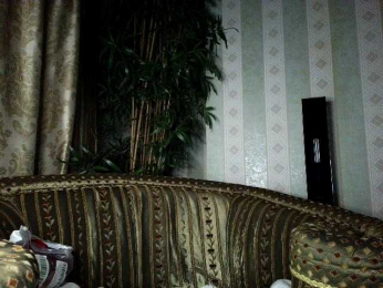 Honeykrisspussy webcam model stream image