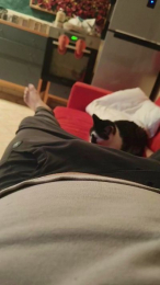 sardello_xxx webcam cam4 model stream image