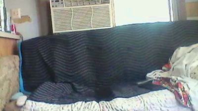 bmoney19 webcam cam4 model stream image