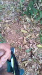 Daddy_capixaba webcam model stream image