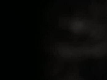 summerwing webcam model stream image