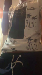 Roll20 webcam model stream image
