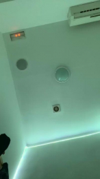 RickyForteXXX webcam model stream image