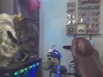 mattcashxxx webcam model stream image