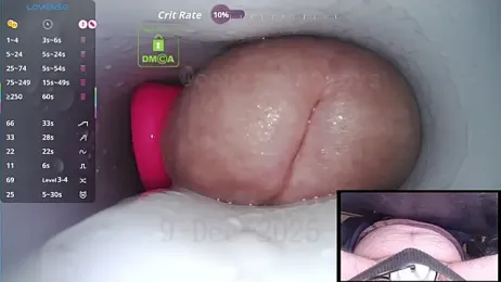 controlmytoys webcam stripchat model stream image