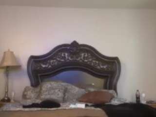 sier1119 webcam model stream image