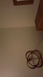 SugarBabyPepper webcam cam4 model stream image