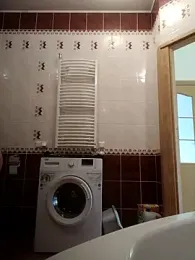 X46x webcam model stream image