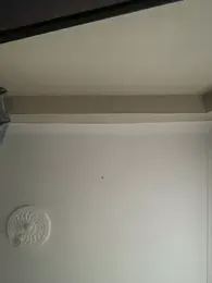 furkansbeysshow71 webcam model stream image