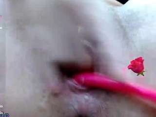 carolinasquirt19 webcam model stream image