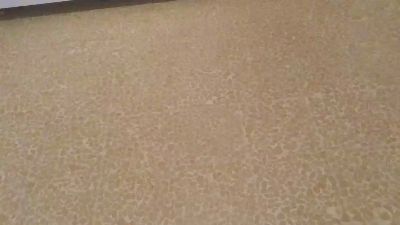 giada47 webcam model stream image