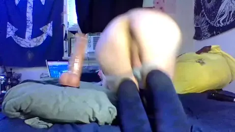ATwinkie webcam model stream image