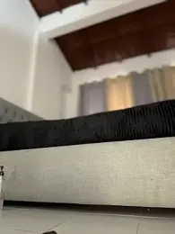 emiss_ webcam model stream image