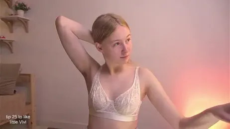 ViviRi webcam model stream image