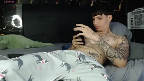 Apolo_Hidalgo01 webcam model stream image