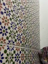 Ni-_haL01 webcam model stream image