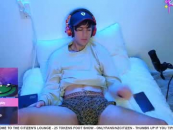 nzcitizen webcam model stream image