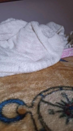 morenito2371 webcam model stream image