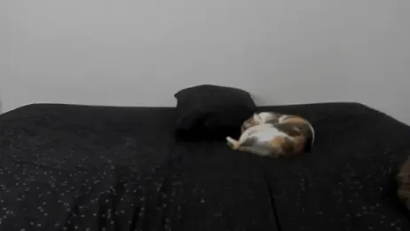 All_yours555 webcam model stream image