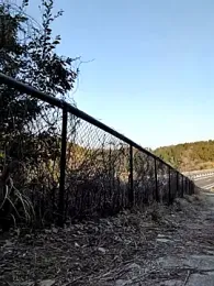 shin_04ji webcam model stream image