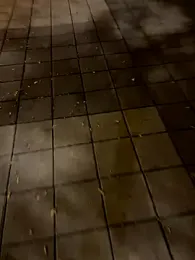 Foxfoxfox4 webcam model stream image