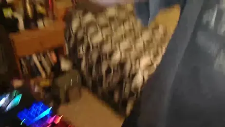 MasterMike2030 webcam stripchat model stream image