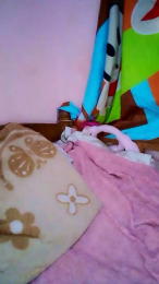 Elysca webcam model stream image