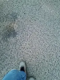 Nabieva12 webcam model stream image