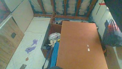 jeanpaul77 webcam model stream image