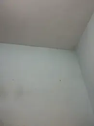 Noura69 webcam stripchat model stream image