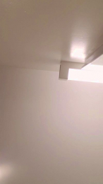 Bearfoot95 webcam model stream image