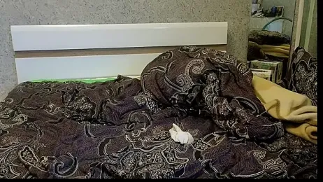 DemiDee webcam model stream image