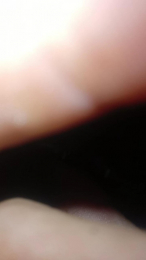 cachopenne webcam model stream image